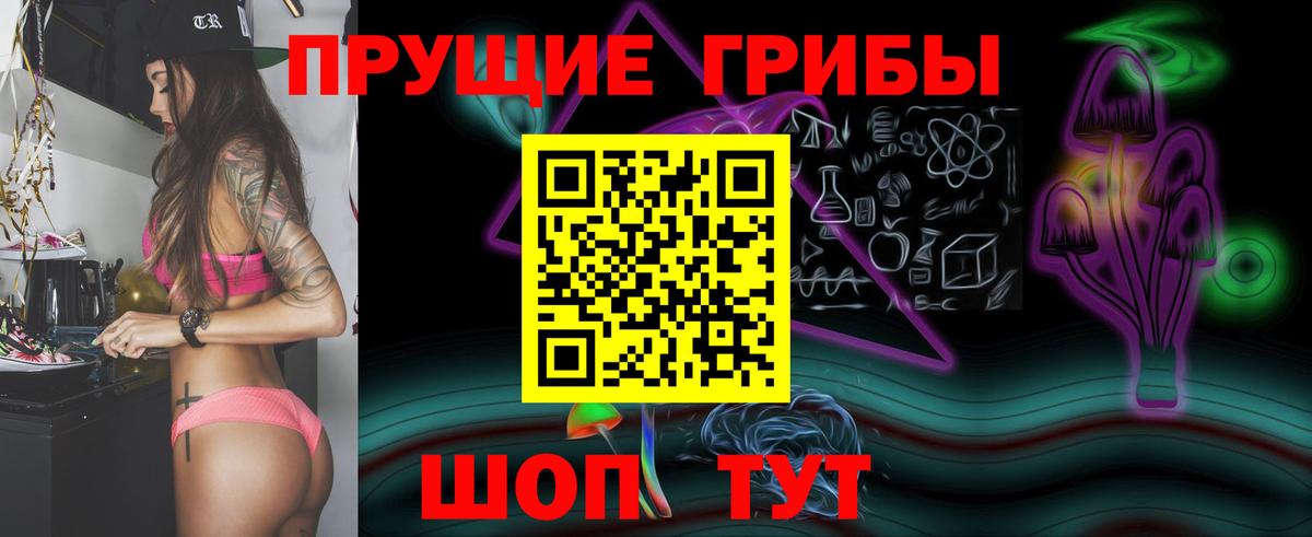Псилоцибиновые грибы GOLDEN TEACHER  Вход с VPN  Домодедово 